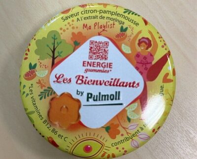 Les bienveillants by Pulmoll