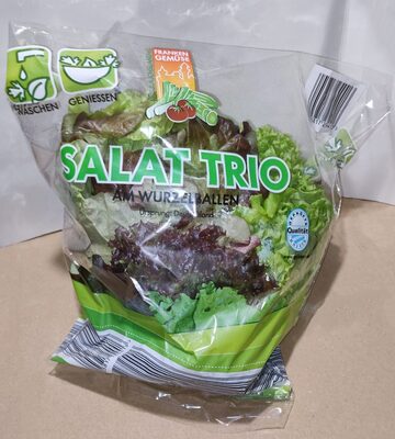 Salat-Trio am Wurzelballen