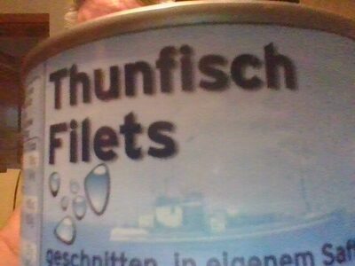 Thunfisch Filets