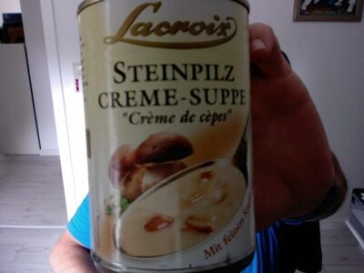 Steinpilz Creme-Suppe