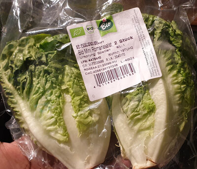 Romanasalat Bio / Salade romaine bio front packaging