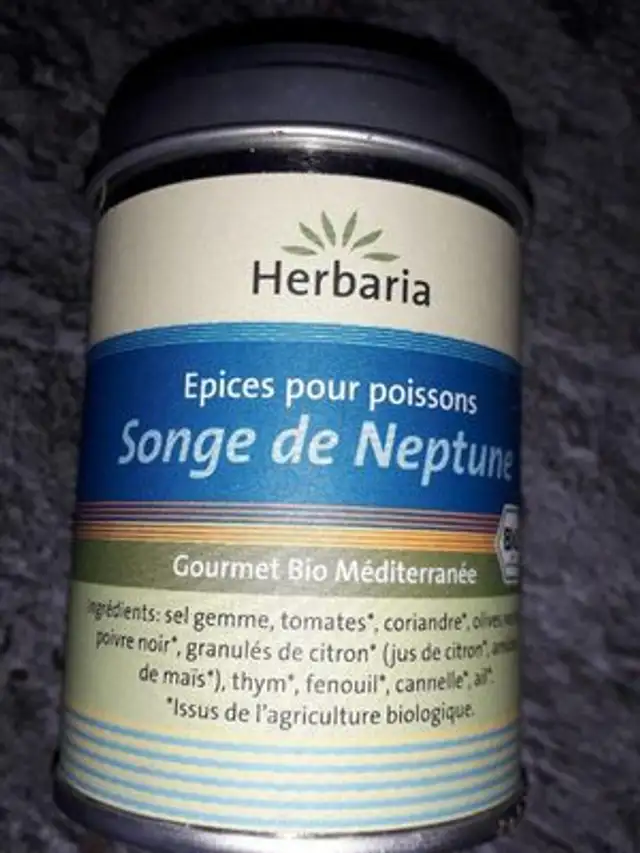 Songe De Neptune
