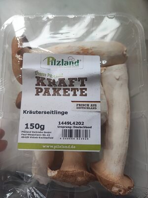 Kräuterseitlinge