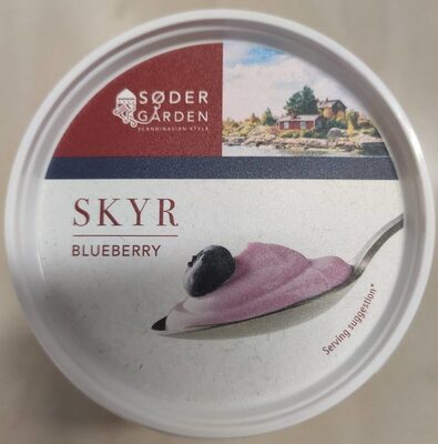Skyr blueberry