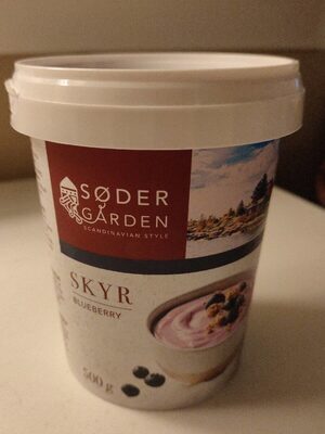 Skyr blueberry