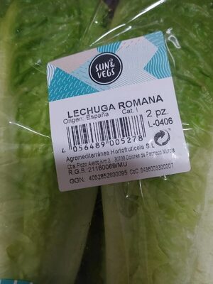 Lechuga