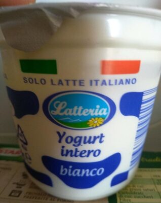 Yogurt intero bianco