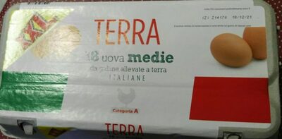 Uova medie da galline allevate a terra