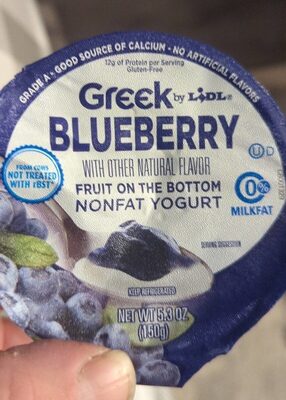 Greek blueberry fruit on the bottom nonfat yogurt