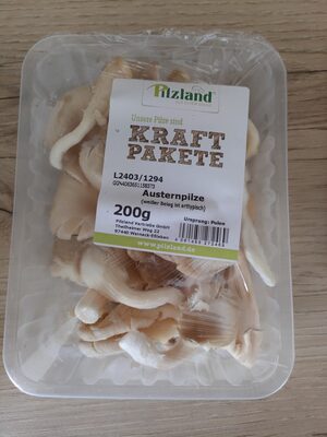 Austernpilze Kraftpakete