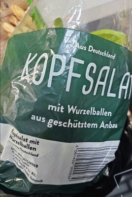 Kopfsalat mit Wurzelballen