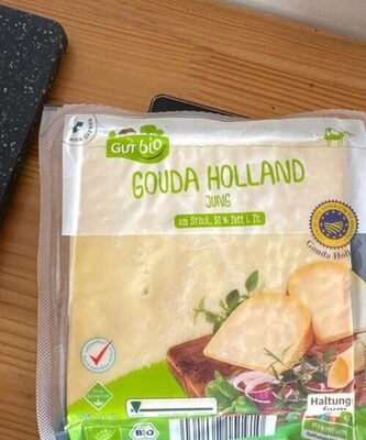 Gouda Holland jung