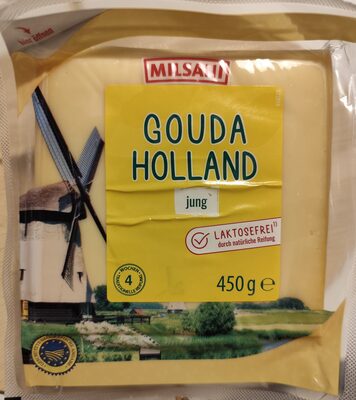 Gouda Holland