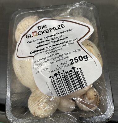 Glückspilze