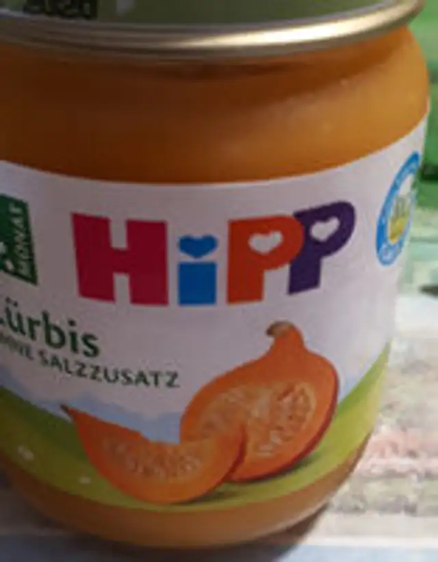 Gemüse Kürbis Nach Dem 4. Monat