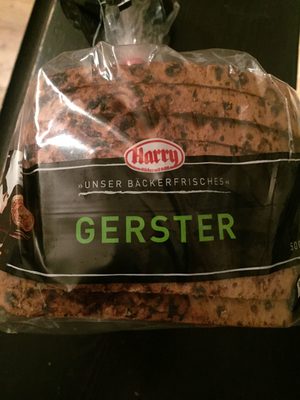 Gerster