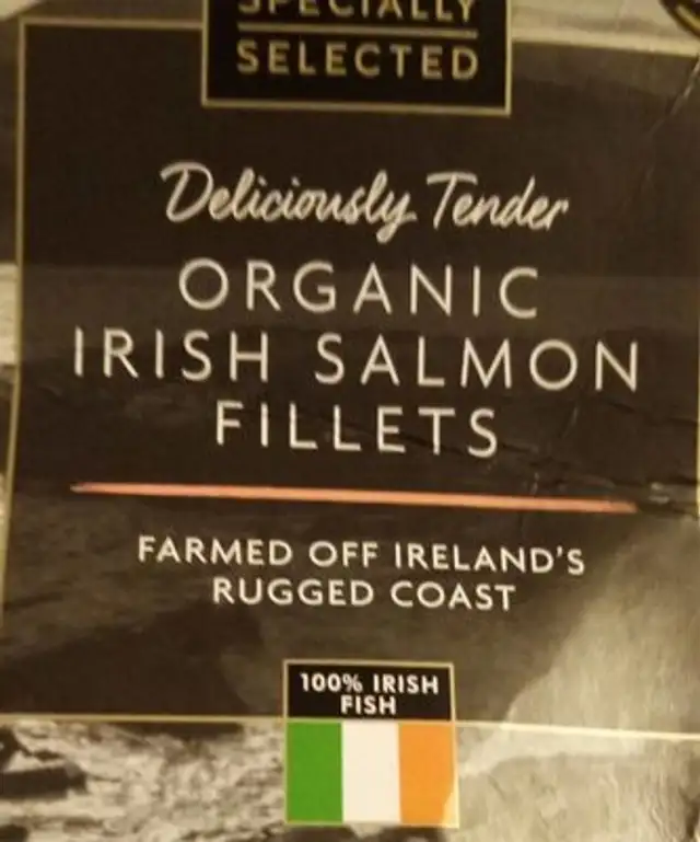 Organic irish salmon fillets