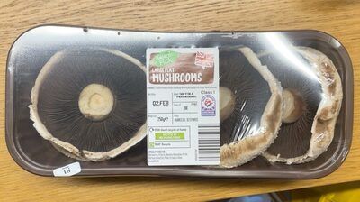 Large flat mushrooms