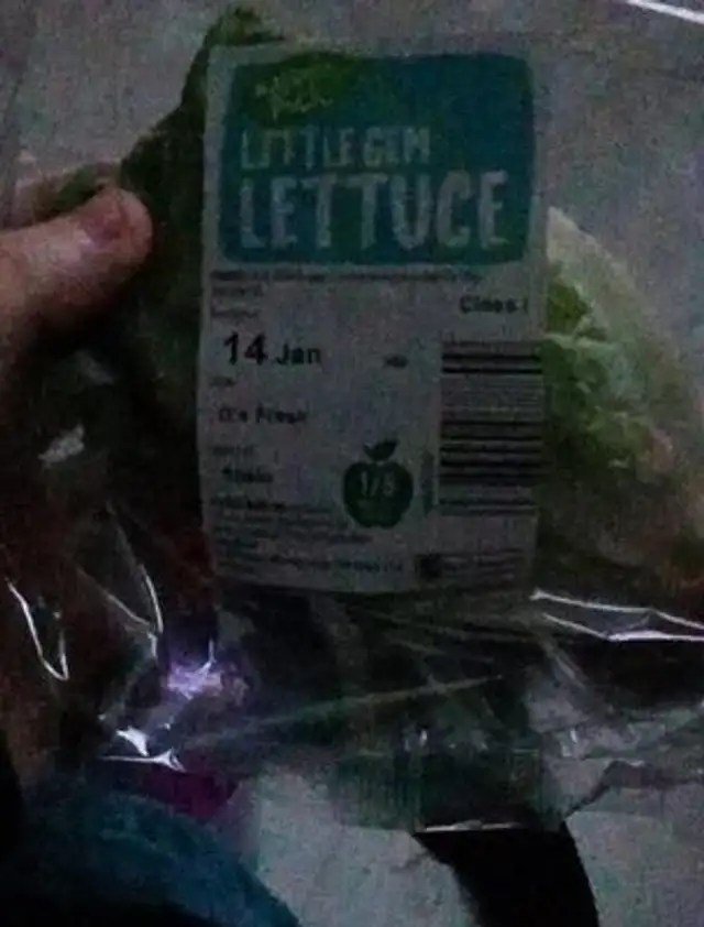 Little gem lettuce