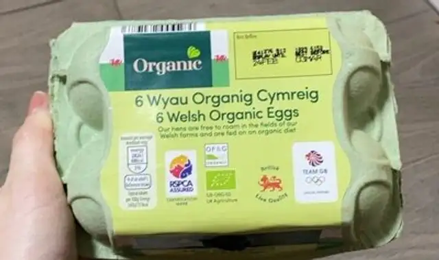 Welsh organic eggs