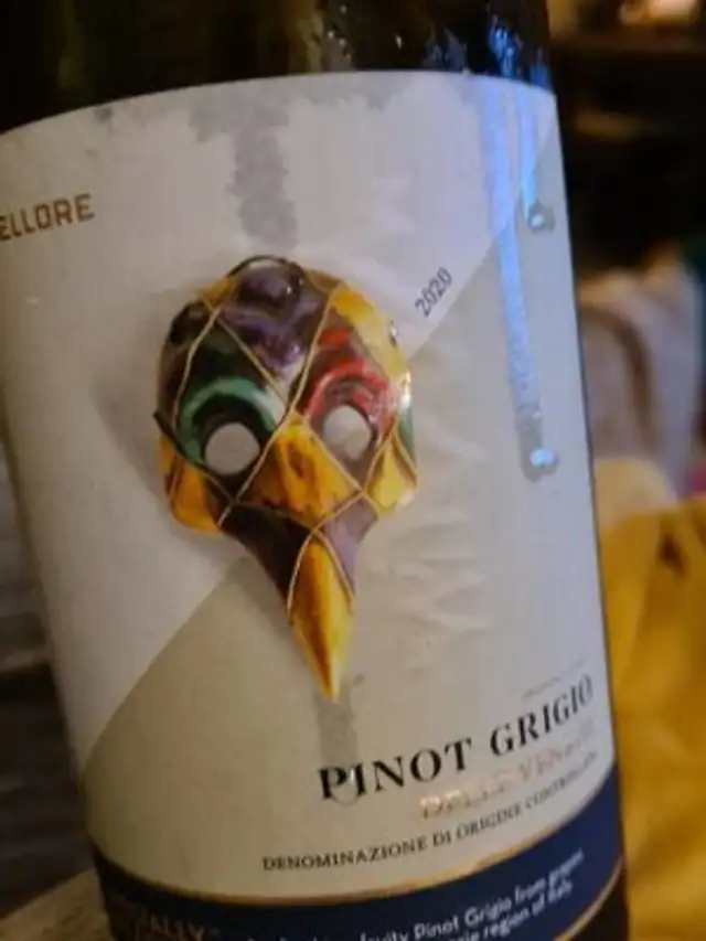 Pilot Grhio
