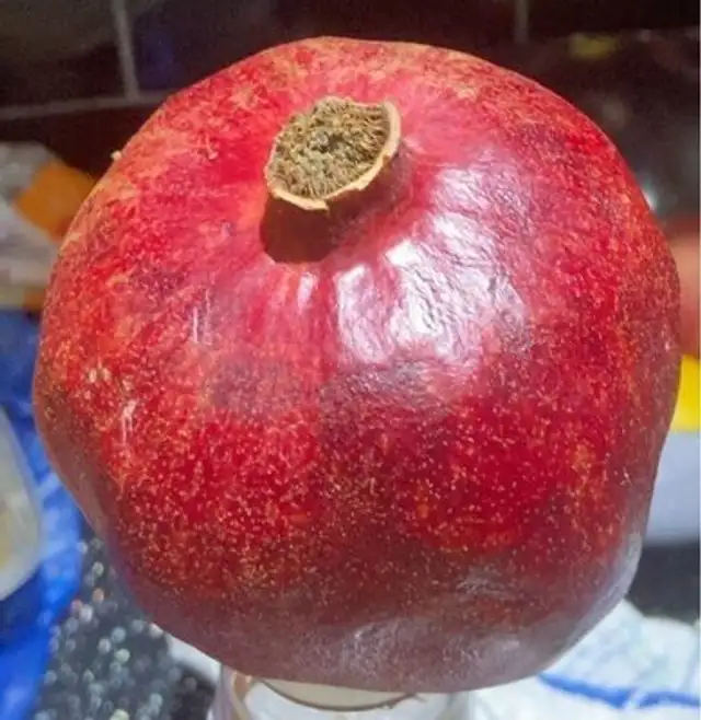 Pomegranate
