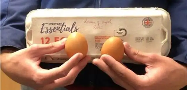 12 eggs