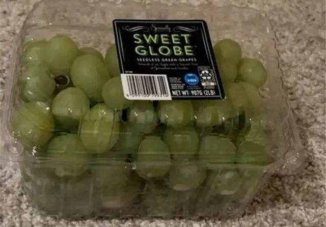 Sweet globe seedless green grapes