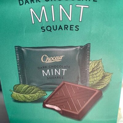 Dark chocolate mint squares