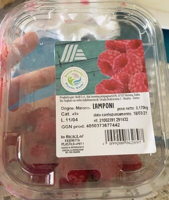 Lamponi