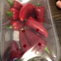 Snackpaprika kernlos