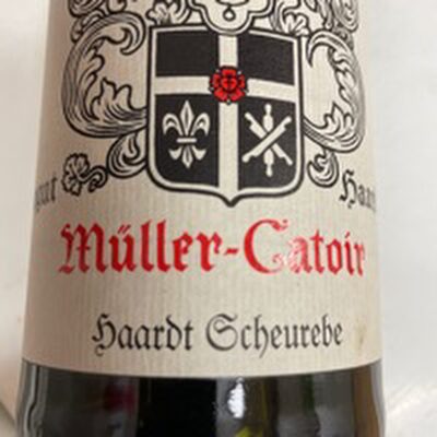 Müller- Catoir