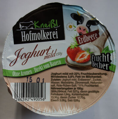 Fruchtbecher Erdbeere