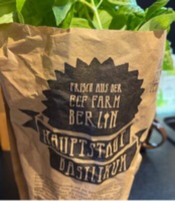 Hauptstadt Basilikum