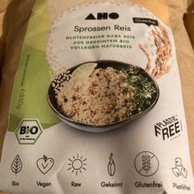 AHO Sprossenreis