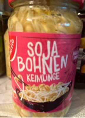 Soja Bohnen Keimlinge
