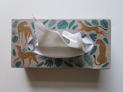 Taschentücher nicht gefaltet 4lagig