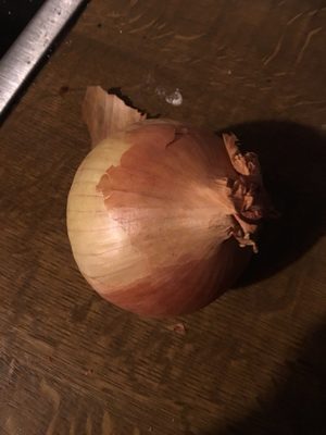 Bio Zwiebeln front packaging