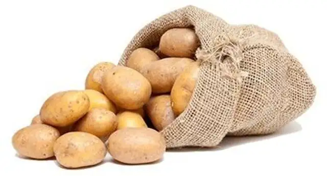Kartoffeln festkochend