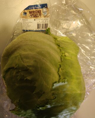 Eisbergsalat "Bayrischer Dickkopf"