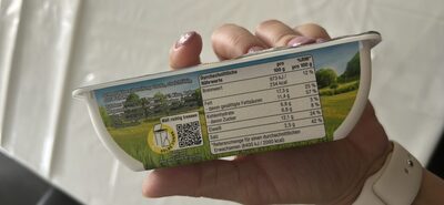 Requeijão Gouda streichfähig