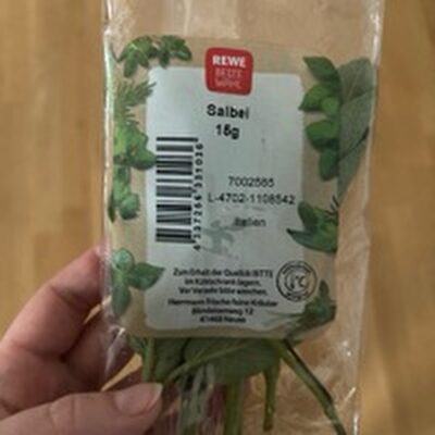 Salbei