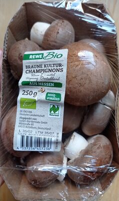 Braune Kultur-Champignons