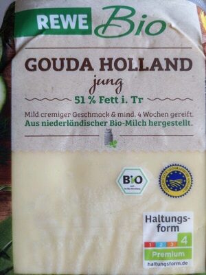 Gouda Holland jung