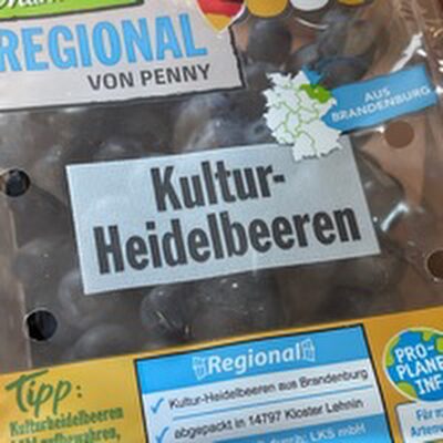 Kultur-Heidelbeeren