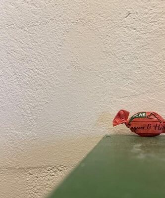 Bonbons Ingwer&Honig front packaging