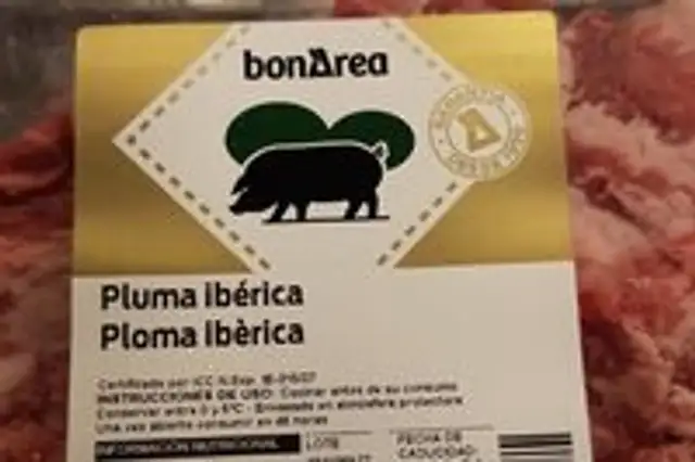 Pluma ibérica