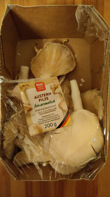 Austernpilze fein-aromatisch