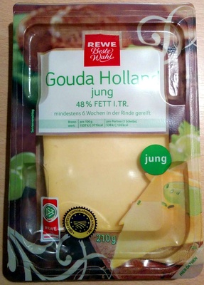 Gouda Holland jung