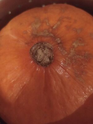 Kürbis front packaging